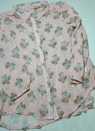 Блуза в кроликах h&amp;m 7-8 лет. шифоновая блуза . нарядная б...