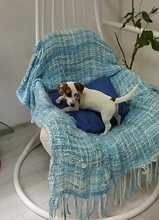 Щенки Джек Рассел Терьер, (Jack-Russell Terrier), Одесса