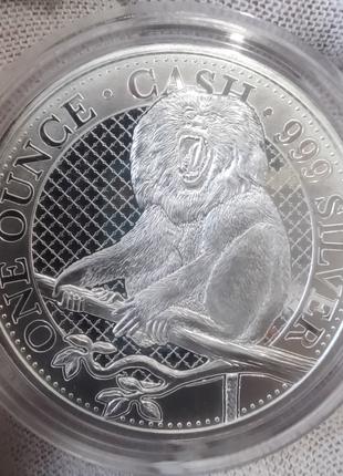 Серебряная монета Макака Cash о. Св.Елены £1 2023, тираж 7500