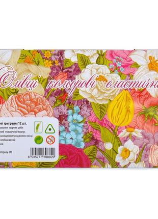 Карандаш 12 цветов CRМ555-12 Metal elastico "С" (Цветы)