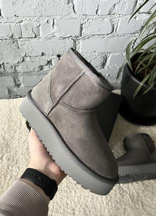 УГГ Міні Платформа Замша Сірі Ugg Mini Platform Grey Suede