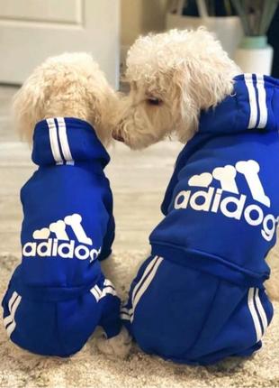 Одежда для собак. Спортивный костюм Синий Теплыц