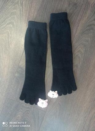 Носки носки с котиком на каждый пальчик