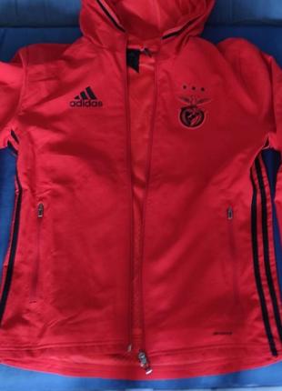 Кофта adidas спортивная клуба benfica адидас