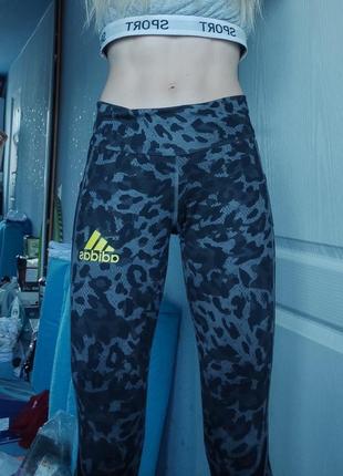 🔥лосины спортивные adidas для бега фитнеса йоги спорта камуфля...