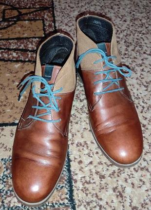Туфли коричневые с синим