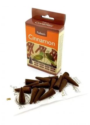 Cinnamon Incense Cones (Корица)(Tulasi) Конусы
