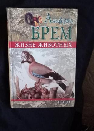 Альфред Брем Жизнь животных Птицы 2008