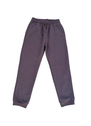 Мужские спортивные брюки флис м-3xl (фиолетовый)