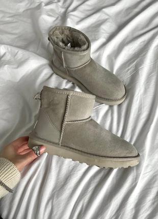 Ugg mini mokko glossiness premium