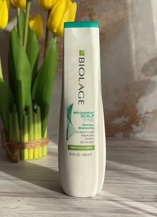 Шампунь против перхоти biolage scalpsync anti-dandruff shampoo