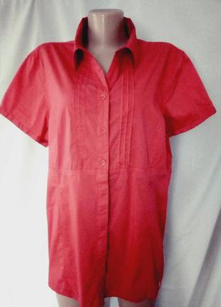 Яркая стрейчевая рубашка, блуза, блузка, большой размер  №7bp