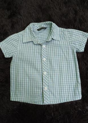Рубашка с коротким рукавом, george, р.81-86, 86-92