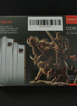 Asgard Freyr DDR5 32 GB (2x16GB) 6000MHz CL30 Оперативна пам'ять