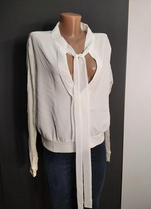 Блузка блуза белого цвета