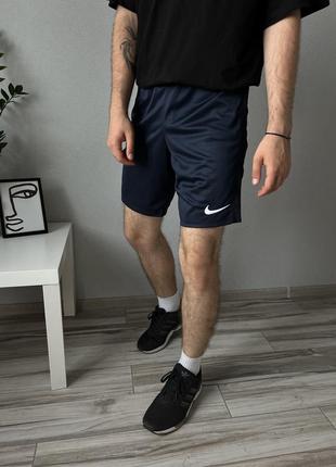 Nike sport shorts мужские спортивные шорты найк драй фит