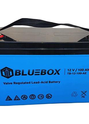 Акумулятор BlueBox AGM 12V 100Ah VRLA (5904496564051)
