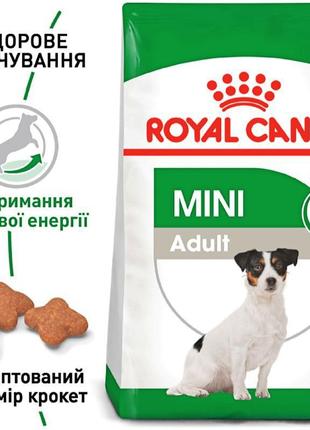 Сухий корм для дорослих собак Royal Canin Mini Adult 8+ 8 кг (...