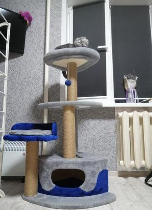 Угловой дом для кошек "лапка" разных цветов на заказ