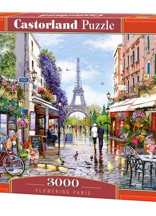 Пазлы "Прекрасный Париж", 3000 элементов