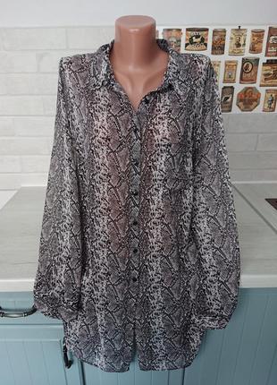 Женская блуза рубашка змеиный принт размер батал 50 /52 блузка