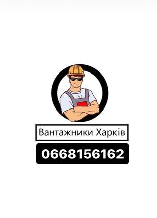 Вантажники грузчики погрузка выгрузка занос