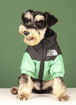 Зимняя куртка для собак M Зеленый