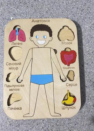Интерактивная деревянная дощечка тело человека игрушка сортер