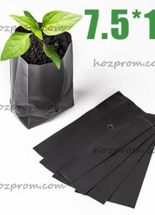 Ідеальні для кореневої системи рослин чорні пакети для саджанців
