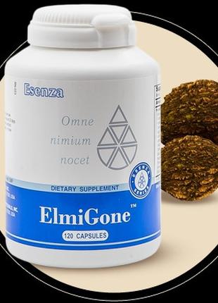 ElmiGone (120) ЭльмиГон (ЭльмиГан): Santegra средство от глист...
