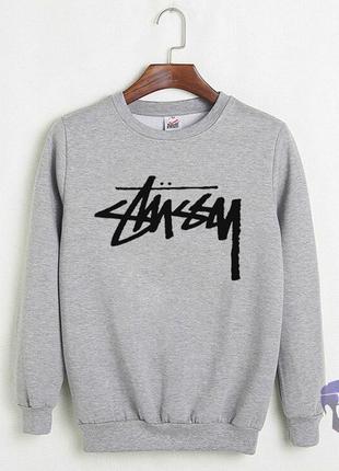 Толстовка мужская серого цвета Stussy