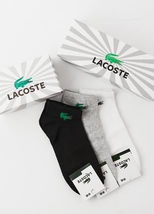 Набор мужских носков "Lacoste", хлопок, 6 пар./уп. (арт. S3)