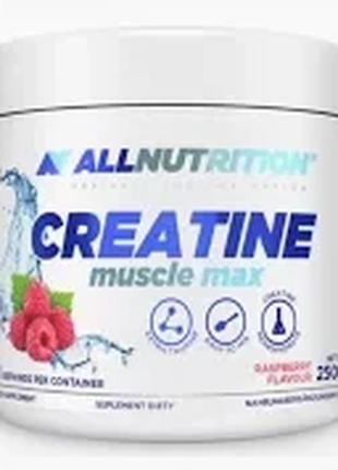 Allnutrition Creatine Muscle Max - 250g