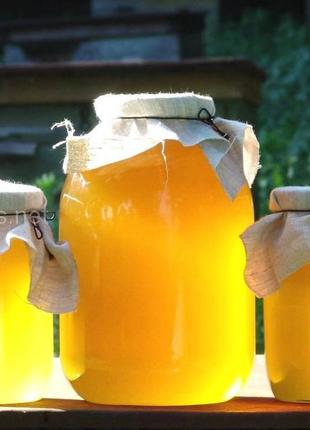 Мед подсолнуха/мед подсолнечника Обьем 3 литра,урожай 2023г