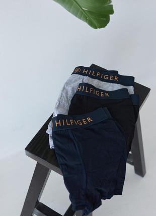 Труси Tommy Hilfiger (3 пари) var3