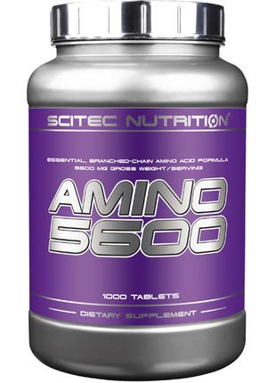 Scitec Nutrition Amino 5600 1000 таблеток (250 порцій)