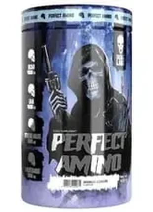 Skull Labs Perfect Amino 450 g