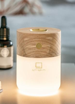 Лампа-дифузор з акумулятором Gingko Smart Diffuser Lamp White ...