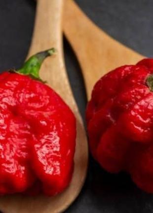 Гострий перець Кароліна Ріпер червоний (Carolina Reaper Reb) н...