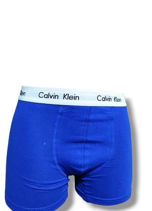 Чоловіча нижня білизна Calvin Klein.