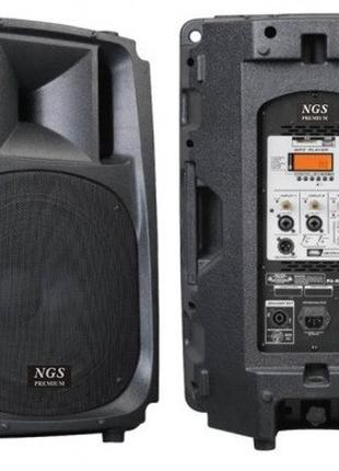 Активная акустическая система NGS Premium PA-R232RMP3 12" 350 ...