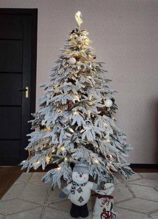 Смерека лита: замовте свою власну зірку різдва для блиску та свят