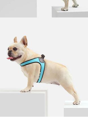Нагрудний ремінь шлейка-жилет ремінь безпеки для собак кішок