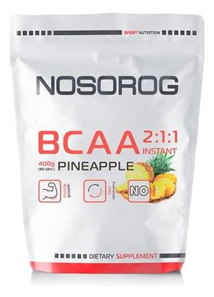 Аминокислоты БЦАА Nosorog BCAA 2:1:1 400 гр