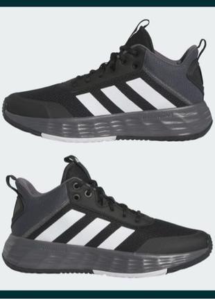 Кросівки Adidas , оригінал