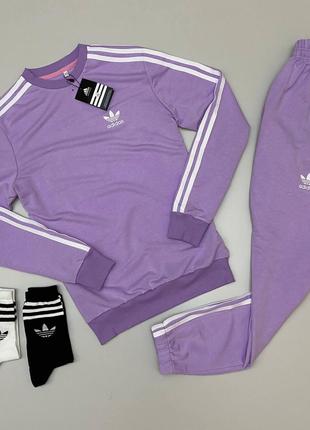 Набор Adidas: свитшот штаны лиловый