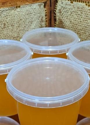 Мёд натуральный Подсолнечниково-Цветочный, урожай 2023 года, 1 л