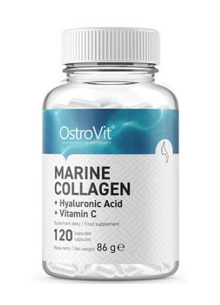 Collagen Marine (120 caps) 18+