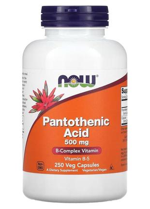 Витамины и минералы NOW Pantothenic Acid 500 mg, 250 вегакапсул