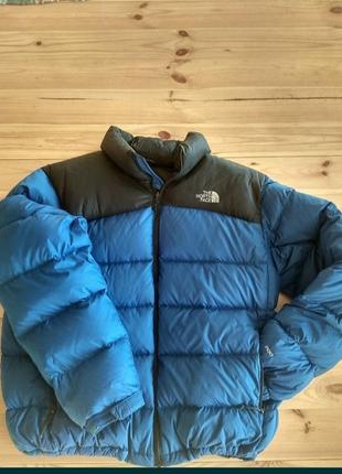 The north face nuptse jacket